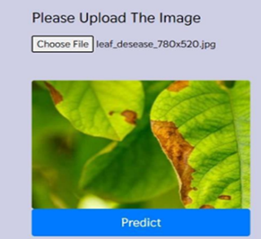 Figure 5: User Interface to upload picture for Disease prediction
.