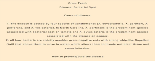 Figure 6: The result of Crop disease prediction.