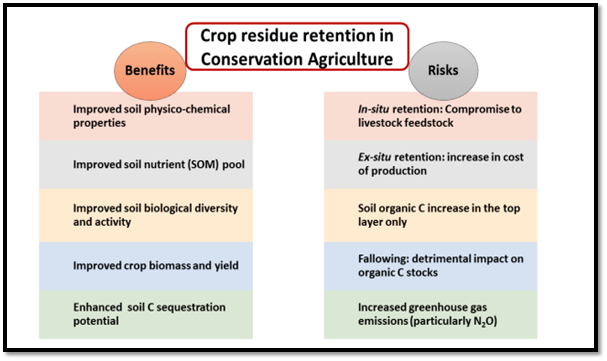 Figure 1: A brief account on the benefits and risks associated with crop residue retention in crop field under conservation agriculture practices [20].