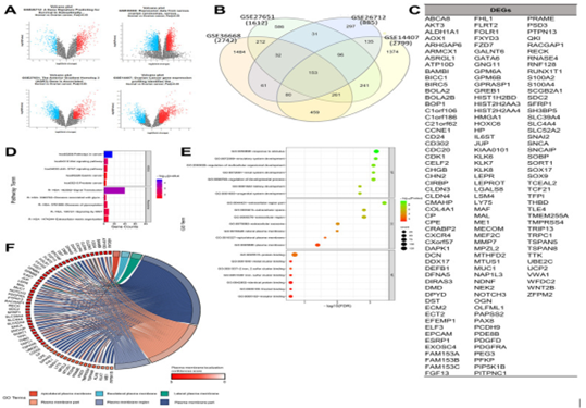 Figure 2: Courtesy ref no-12-Determination of gene set enrichments (GSEs) and differentially expressed genes (DEGs). (A) Volcano plot of gene distributions in control and ovarian cancer samples. Gray dots represent genes that are not significantly expressed between normal and ovarian cancer cell samples. (B) Venn diagram of overlapping gene between four GSEs from which we obtained 153 DEGs. Also, the highest unique genes are GSE36668, GSE14407, and GSE27651. (C) List of DEGs. (D) Pathway terms related to DEGs, colored by -log10 (p-values). (E) Gene ontology terms related to DEGs, colored by –log10 (p-values). (F) Plasma membrane-related genes from six GO terms (p > 0.05) with localization confidence scores. A higher score means a greater probability that the protein will be situated ther.