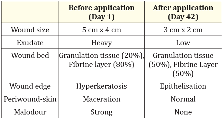 Table 4: Case report 4: Wound status of the patient before and after treatment with curea P2 active