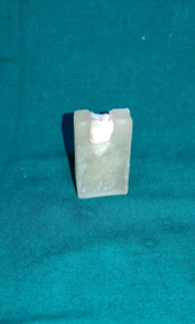 Figure 1: Molar with exposed dentin mounted onto an acrylic block.