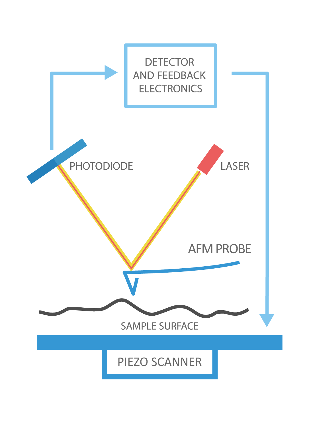 Figure 5: Atomic force microscope - schematic diagram