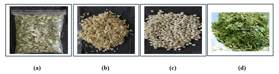 Figure 1: (a) Seeds of Moringa oleifera inside the seed coat (b) Coat of Moringa oleifera seeds 
(c) Seeds of Moringa oleifera without seed coat and (d) Leaves of Moringa oleifera