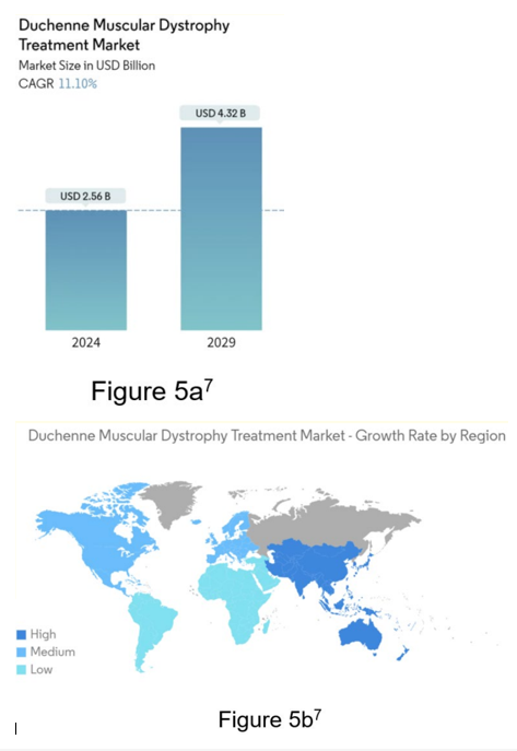 Figure 5: Schematic of DMD Treatment Market [7].<br>
(a) DMD treatment market size based on 2019-2029 study
period [7]. (b) Growth rate of DMD treatment by region [7].