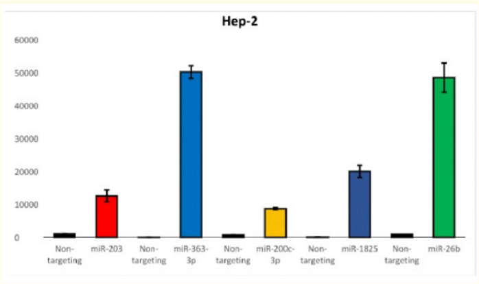 Figure 1: Confirmation of Transfection Success Rate for miRNAs
using qRT-PCR. miR-203, miR-363-3p, miR-26b, miR-1825, and
miR-200c-3p were successfully expressed in Hep-2 cells.