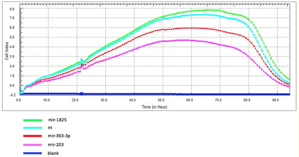 Figure 2: Functional Analysis of Selected miRNAs (miR-26b, miR-200c-3p, miR-203, miR-363-3p, and miR-1825) in
Human Laryngeal Squamous Cell Carcinoma. Proliferation graphic shows the mir-1825, mir-363-3p and mir-203 on Hep-2 cells.
