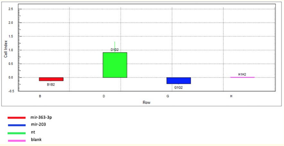 Figure 4: Migration Assay Confirming the Role of miR-203 and miR-363-3p in Tumor Progression in
Hep-2 Laryngeal Cancer Cells.