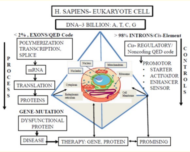 Graphical abstract