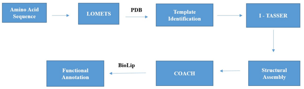 Figure 1: Schematic representation of I-TASSER Protocol.