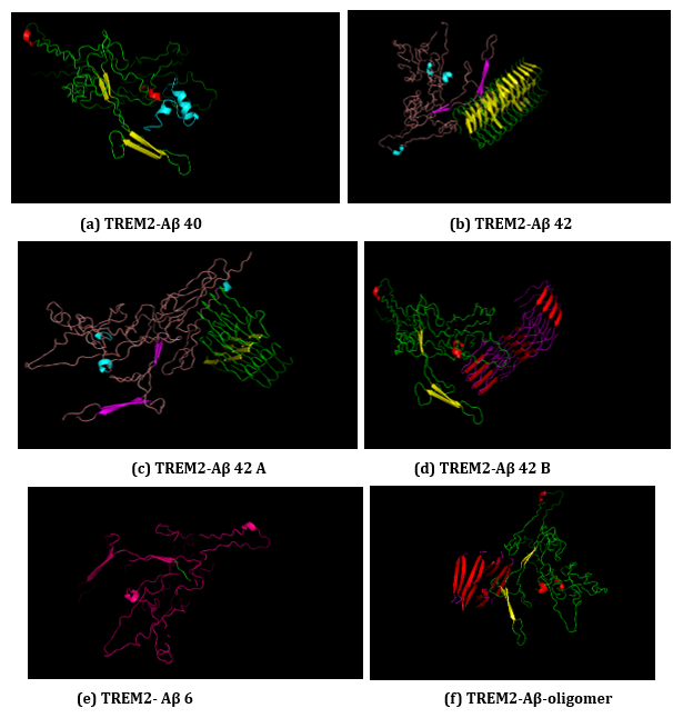 Figure 16: (a-f): ClusPro Molecular Docking analysis: TREM2-Aβ ligands interaction.