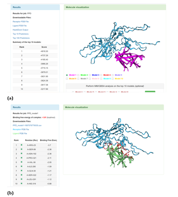 Figure 17: HawkDock based TREM2-Aβ oligomer interaction: (a) TREM2-Aβ oligomer interaction - Model 1;
(b) TREM2-Aβ oligomer interaction-GBSA analysis.
