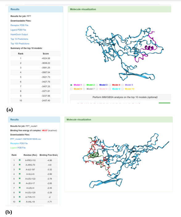 Figure 18: HawkDock based TREM2-Aβ 40 interaction: (a) TREM2-Aβ 40 interaction - Model 1; (b) TREM2-Aβ 40 interaction-GBSA
analysis.

