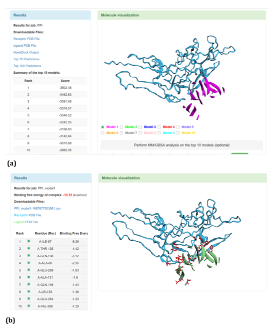 Figure 19: HawkDock based TREM2-Oligomer (3q9h) interaction: (a) TREM2 - Aβ Oligomer (3q9h) interaction - Model 1; (b) TREM2 -
Aβ Oligomer (3q9h) interaction - GBSA analysis.