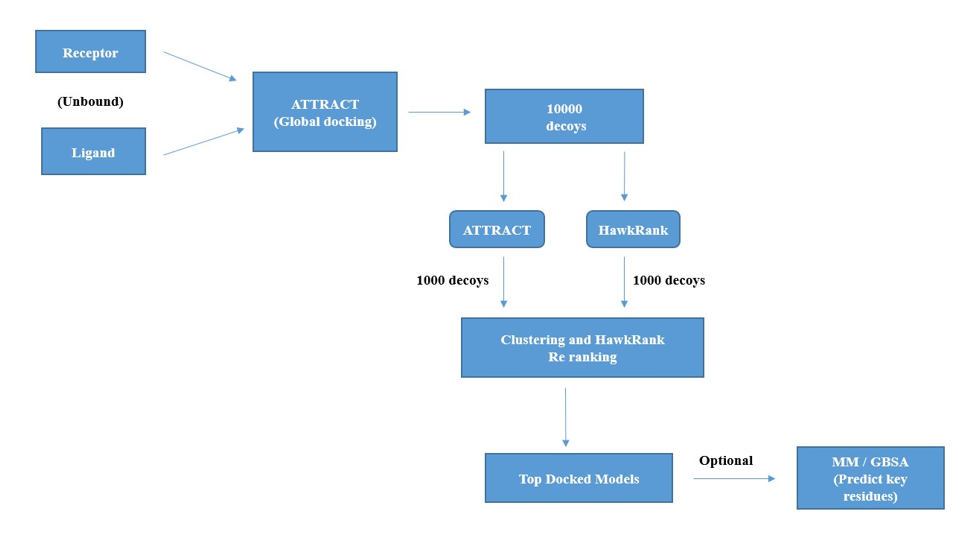 Figure 2: Schematic representation of workflow of HawkDock Docking (Unbound receptor - ligand).