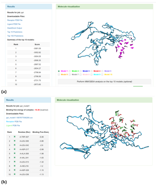 Figure 21: HawkDock based TREM2-Oligomer (3q9i) interaction: (a) TREM2 - Aβ Oligomer (3q9i) interaction - Model 1; (b) TREM2 -
Aβ Oligomer (3q9i) interaction - GBSA analysis.
