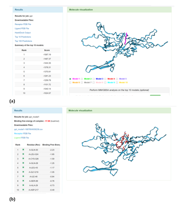Figure 22: HawkDock based TREM2- Aβ 6 interaction: (a) TREM2 - Aβ 6 interaction - Model 1; (b) TREM2 - Aβ 6 interaction - GBSA
analysis.

