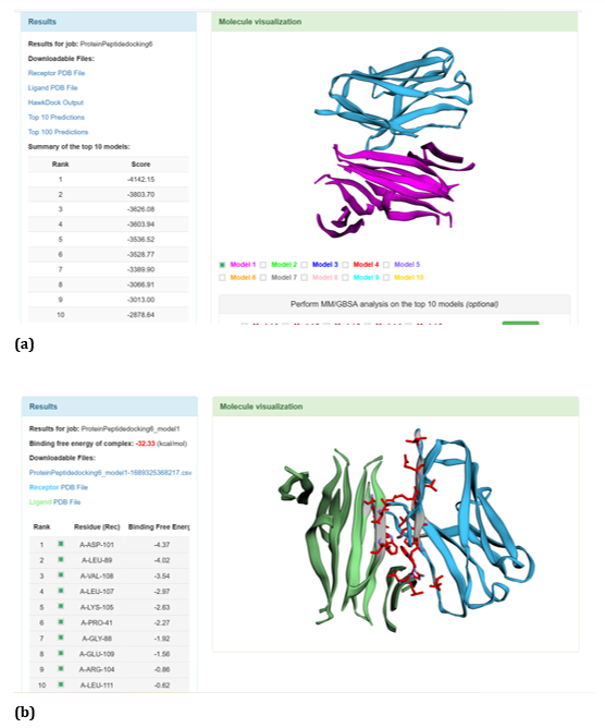 Figure 24: HawkDock based R47H-TREM2-Aβ oligomer interaction: (a) R47H-TREM2-Aβ oligomer interaction - Model 1; (b) R47HTREM2-Aβ oligomer interaction-GBSA analysis.