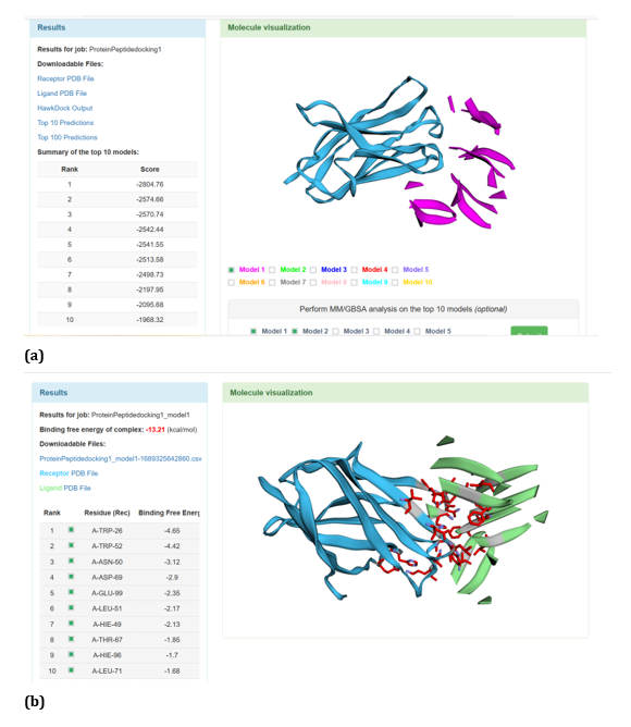 Figure 26: HawkDock based R47H-TREM2-Aβ Oligomer (3q9h) interaction: (a) R47H-TREM2-Aβ Oligomer (3q9h) interaction - Model
1; (b) R47H-TREM2- Aβ Oligomer (3q9h) -GBSA analysis.