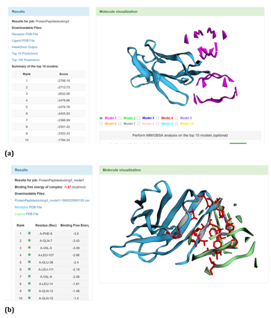 Figure 27: HawkDock based R47H-TREM2-Aβ Oligomer (3q9j) interaction: (a) R47H-TREM2-Aβ Oligomer (3q9j) interaction - Model 1;
(b) R47H-TREM2- Aβ Oligomer (3q9j) -GBSA analysis.
