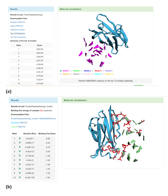 Figure 28: HawkDock based R47H-TREM2-Aβ Oligomer (3q9i) interaction: (a) R47H-TREM2-Aβ Oligomer (3q9i) interaction - Model 1;
(b) R47H-TREM2- Aβ Oligomer (3q9i) -GBSA analysis.