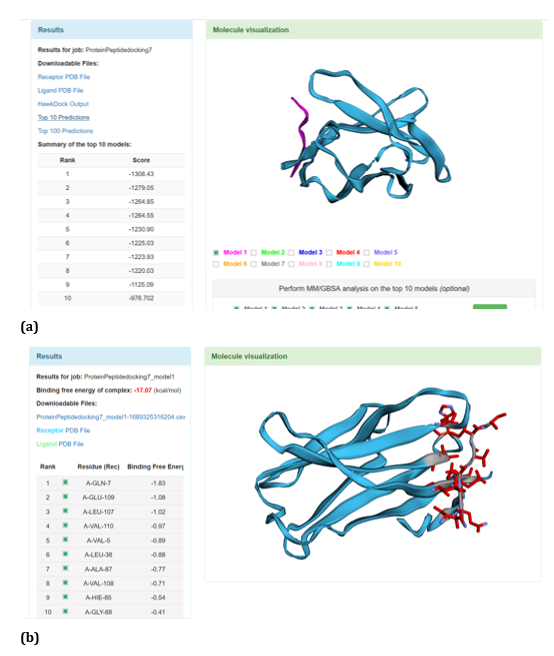 Figure 29: HawkDock based R47H-TREM2-Aβ 6 interaction: (a) R47H-TREM2-Aβ 6 interaction - Model 1; (b) R47H-TREM2 - Aβ 6 -
GBSA analysis.

