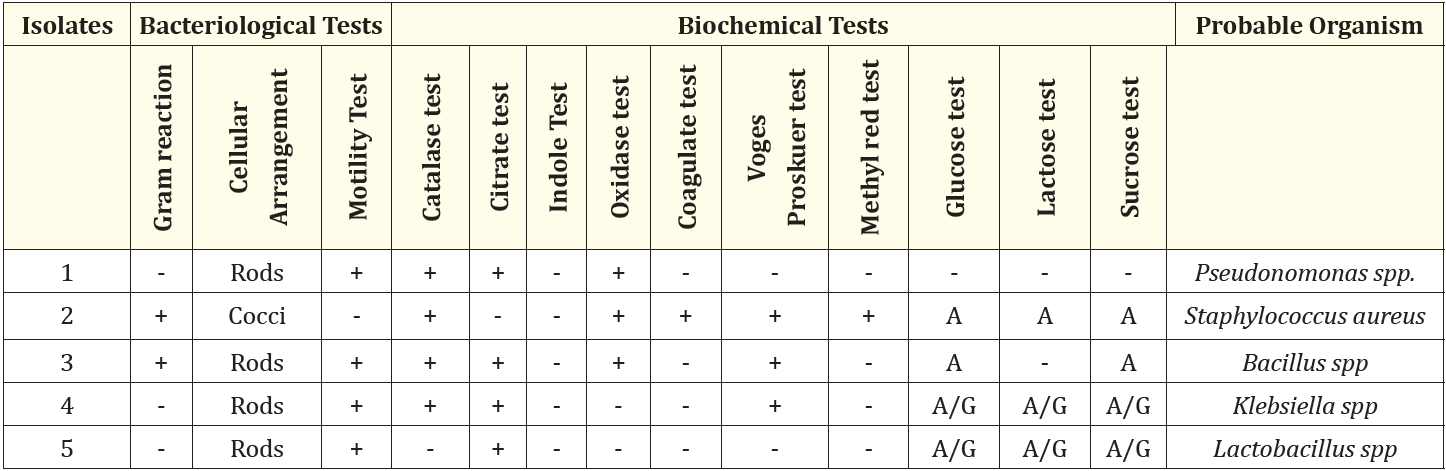 Table 3: Physiological properties of bacterial isolates.
- = Negative
+ = Positive
A = Acid
A/G= Acid and Gas Production