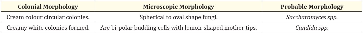 Table 5: Colonial morphology and microscopic morphology of fungi species.