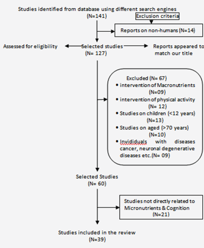 Figure 1: Methodological flowchart. 