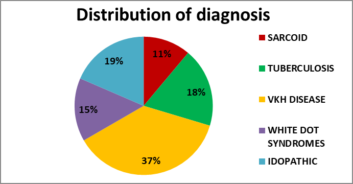 Figure 1: Posterior uveitic entities included in the study.