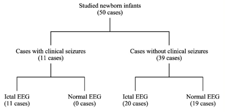 Figure 2: Division of the study cases.