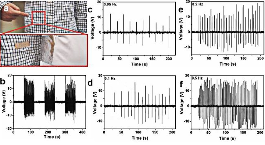 Figure 12: (a) Photograph of a working TENG (2 cm×7 cm×0.08
cm in size) stuck on to the clothes with the shirt buttoned. (b)The
output voltage of the TENG when walking. (c,d,e,f).The output
voltage signals at different stride frequency, 0.05Hz (c),0.1Hz
(d),0.2Hz (e)and 0.5Hz(f).
