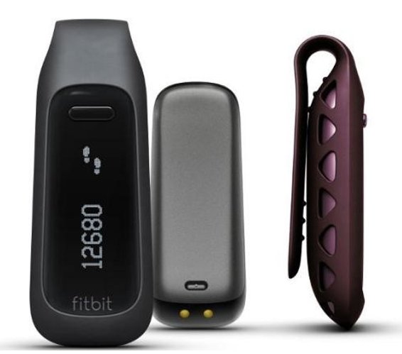 Figure 3: Fitbit.