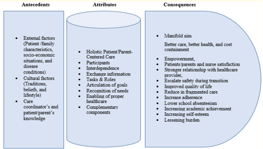 Figure 1: Components of the concept of care coordination.