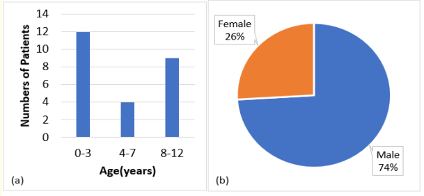 Figure 1: (a) Age group distribution of patients.
 (b) Gender distribution of patients.