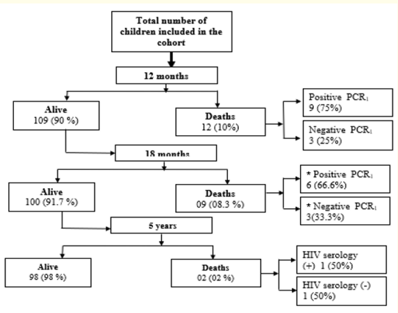 Figure 1: Flow diagram showing the children included in the cohort between 2010 and 2011 and their outcome at 5 years of age.
*All the children dead between 12 and 18 months had benefitted
from PCR. At 18 months of age, only one child had HIV serology;
the others died earlier.