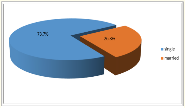 Figure 1: Distribution of respondents according to marital status