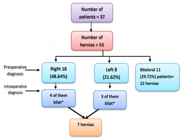 Figure 4: Number of patients and hernias.
 [* These cases were found to be bilateral].
