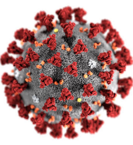 Figure 3: ‘Severe Acute Respiratory Syndrome Coronavirus-2’
(COVID-19).
