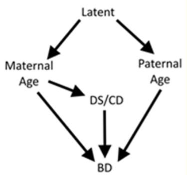 Figure 12: Directed acyclic graph (DAG) used in the study. 

