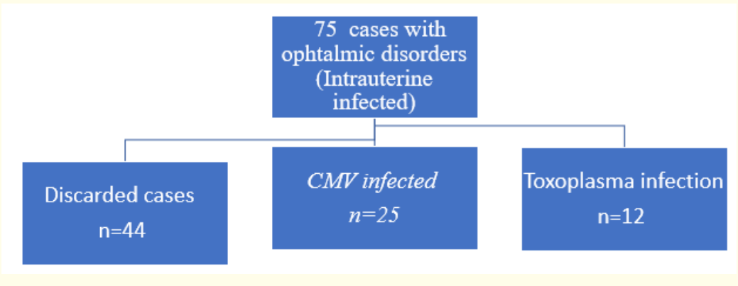 Figure 1: Selection of cases with ocular disorders due to intrauterine infection.