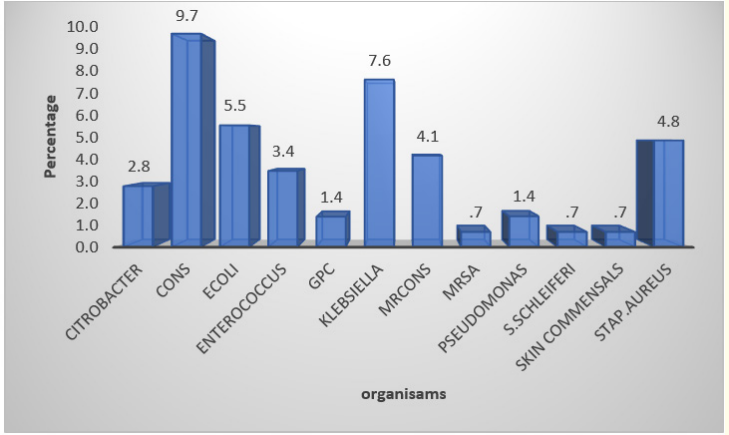 Graph 6