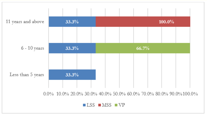 Figure 3: Respondents by experience.