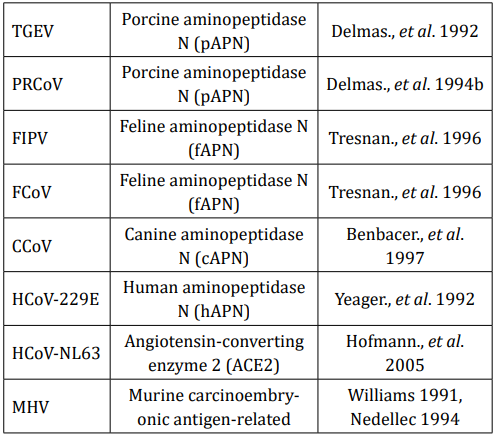 Table 1: Cellular receptors for coronaviruses.