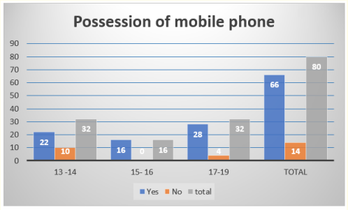 Figure 2: Showing mobile possessions by teenagers.