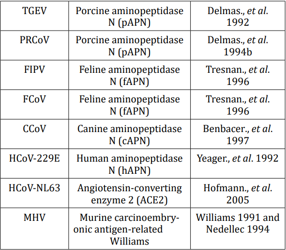 Table 1: Cellular receptors for coronaviruses.