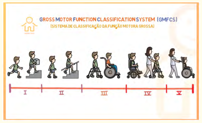 Annex 1: Gross Motor Function Classification System. 1GMFCS-E 8 R 2007 can child center for childhood Disability Research, Mc Master University (Dev Med child Neurol 1997;39: 214-223).