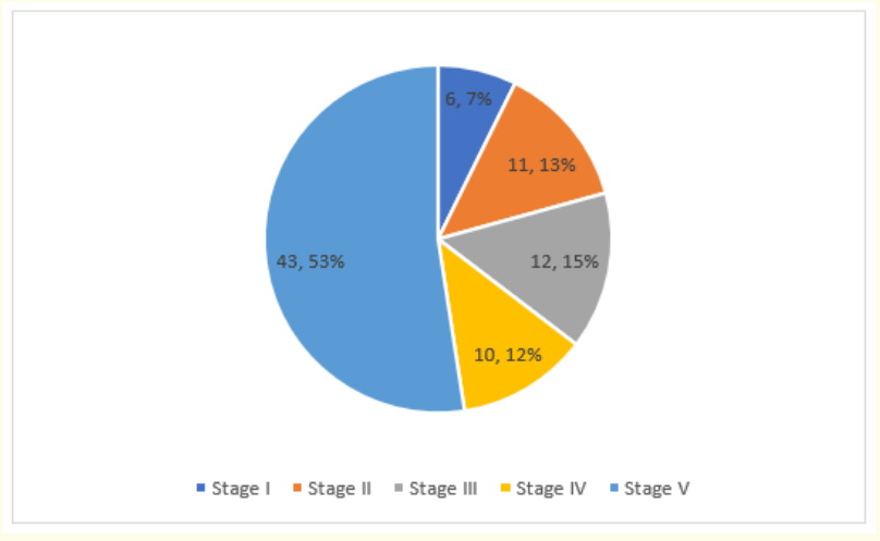 Figure 4: GMFCS Assessment of the Degree of Disability of Children with CP.