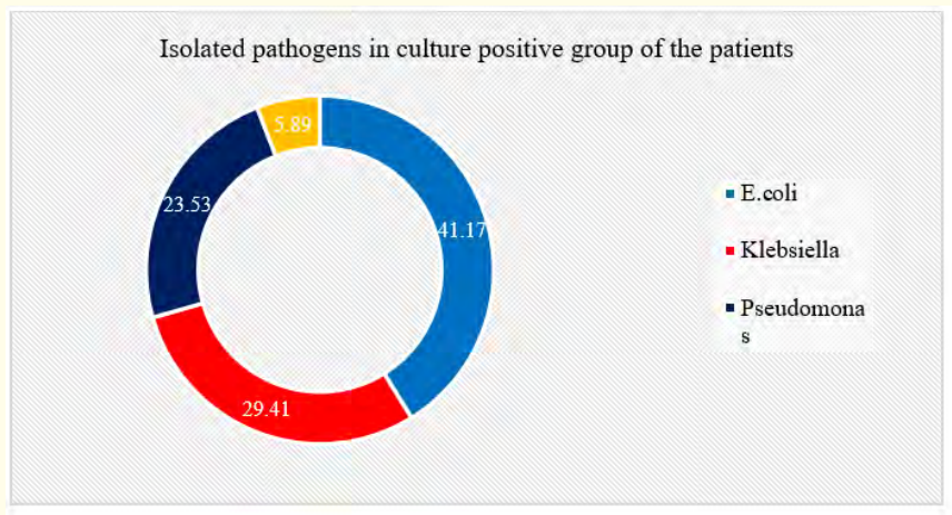 Figure 5: Ring chart showed isolated pathogens in culture positive group wise patients (N = 50).