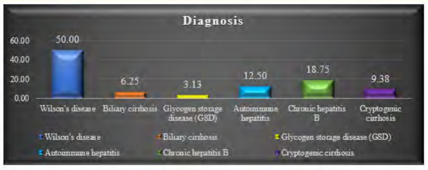 Figure 3: Diagnosis of the study population (N = 32).